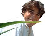 gaelweb.gif
