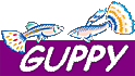 gylogo.gif