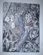 "Oiseaux": encre de chine et couleur