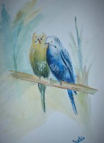 "Perruches": aquarelle